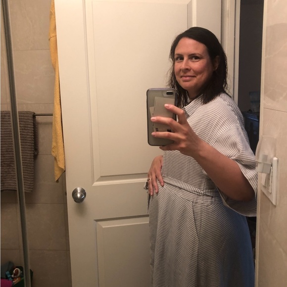 HATCH Size 3 Viscose-Linen button down, lined dress. Great condition. Maternity. - Picture 6 of 7